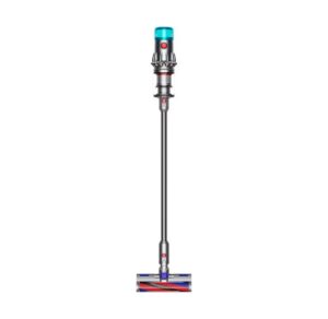 Dyson Vacuum cleaner V12 Origin - Gray (492711-01)