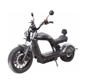 Esomoto 6.0 S 20km/h - Gray