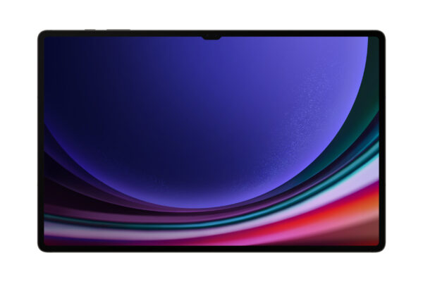 Samsung Galaxy Tab S9 Ultra 14.6" WiFi 256GB Graphite
