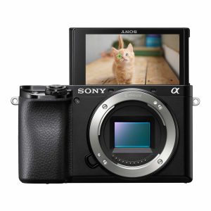 Sony Alpha 6100 (ILCE6100B.CEC)