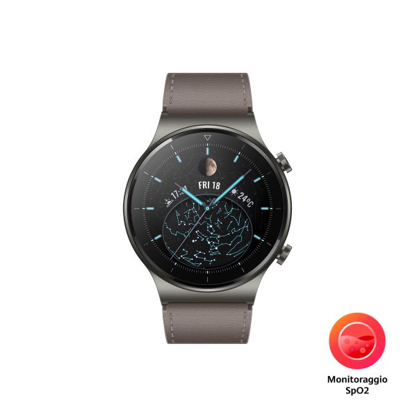 Huawei Smartwatch GT 2 Pro Classic 46mm - Brown/Gray