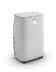 Olimpia Splendid Dolceclima Brezza 9 EQ