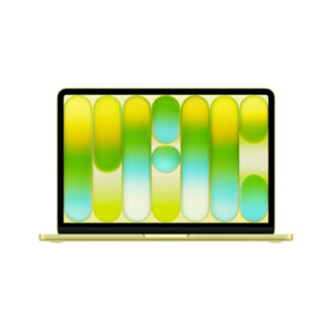 Apple 13