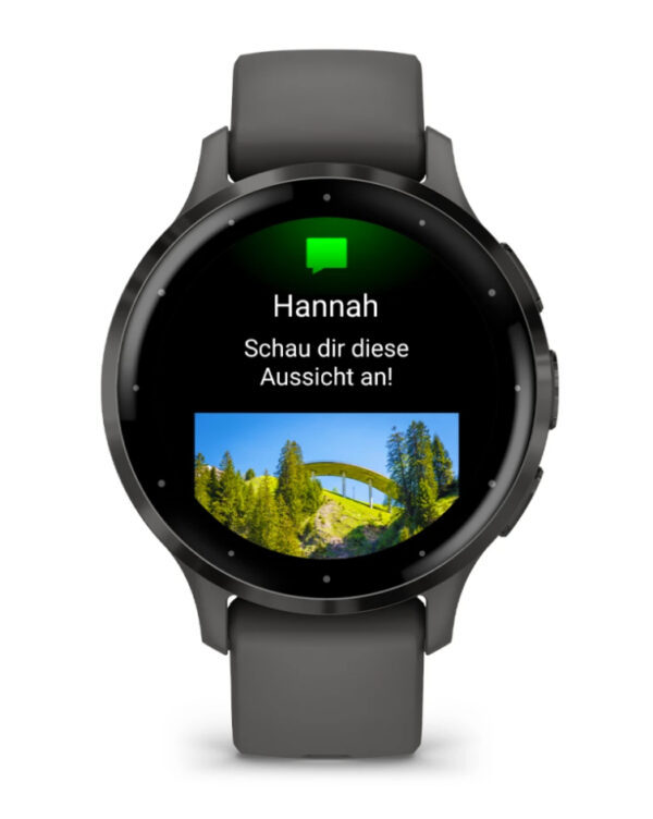 GARMIN Smartwatch Venu 3S Gray